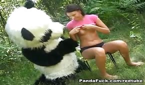 Panda fickt ein junges Küken im Garten